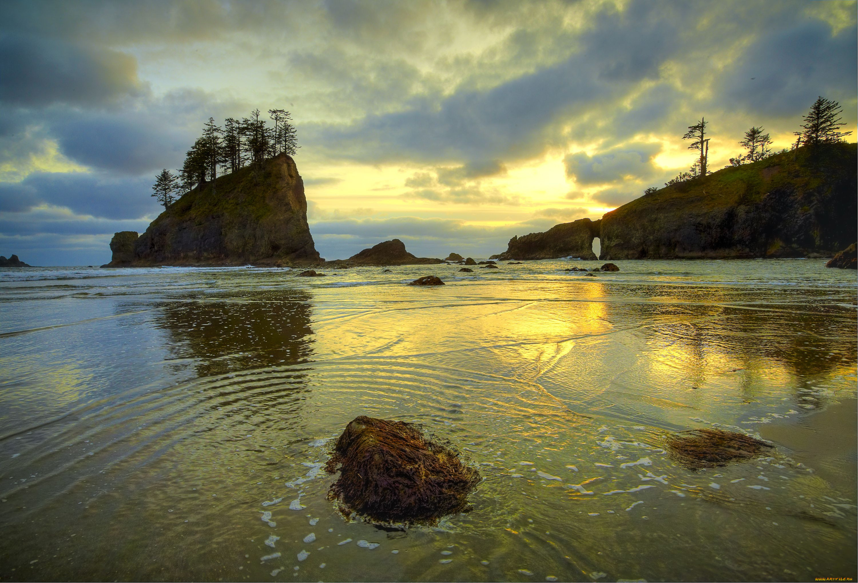 olympic, national, park, , , , 